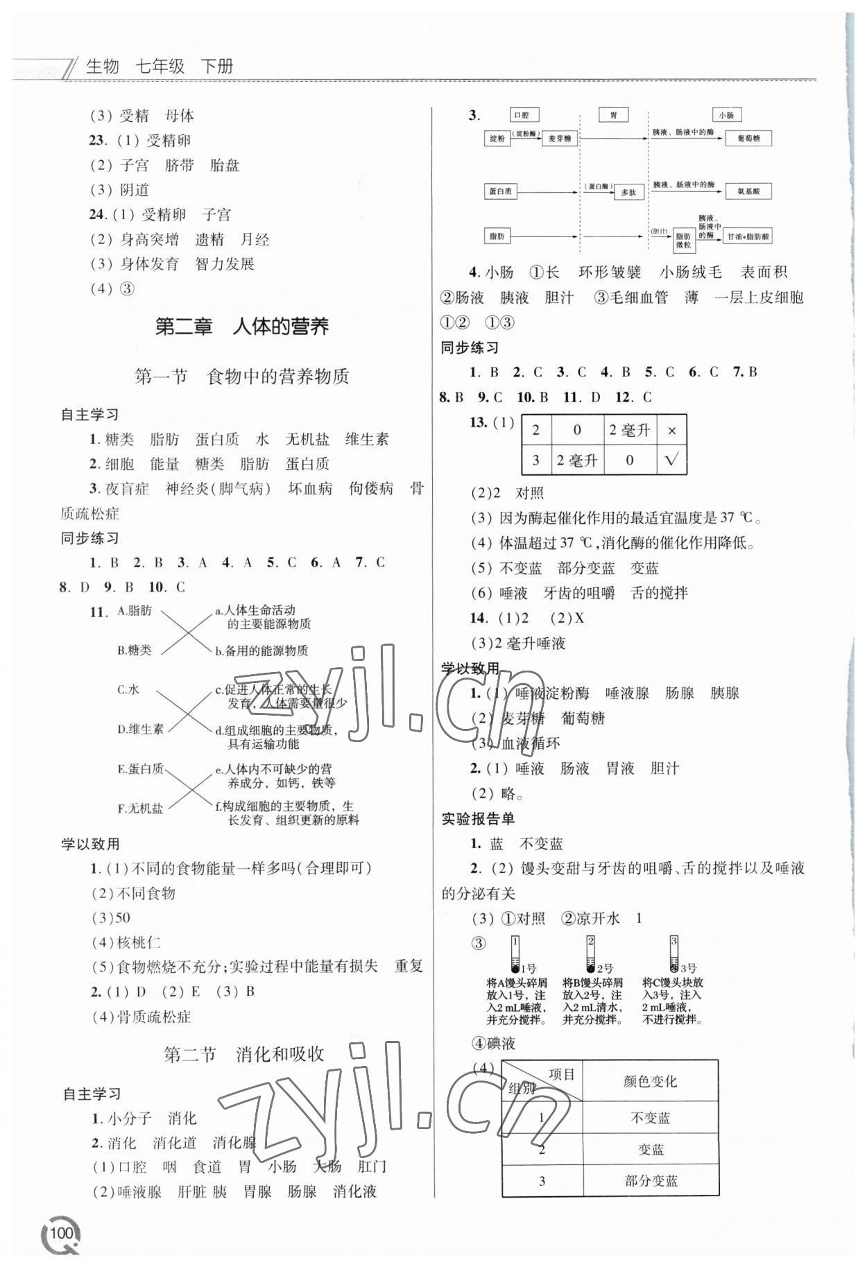 2023年同步練習冊青島出版社七年級生物下冊人教版 第2頁