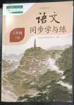 2023年語文同步學(xué)與練八年級(jí)下冊人教版