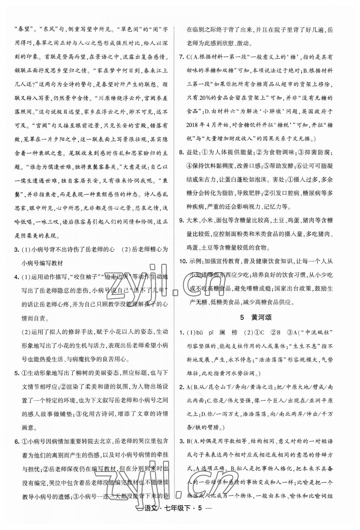 2023年經(jīng)綸學典課時作業(yè)七年級語文下冊人教版 參考答案第5頁