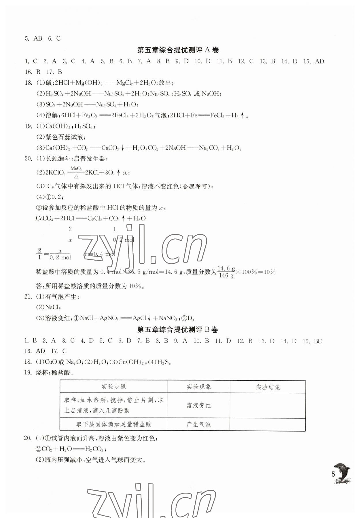 2023年实验班提优训练九年级化学下册沪教版上海专版54制 第5页