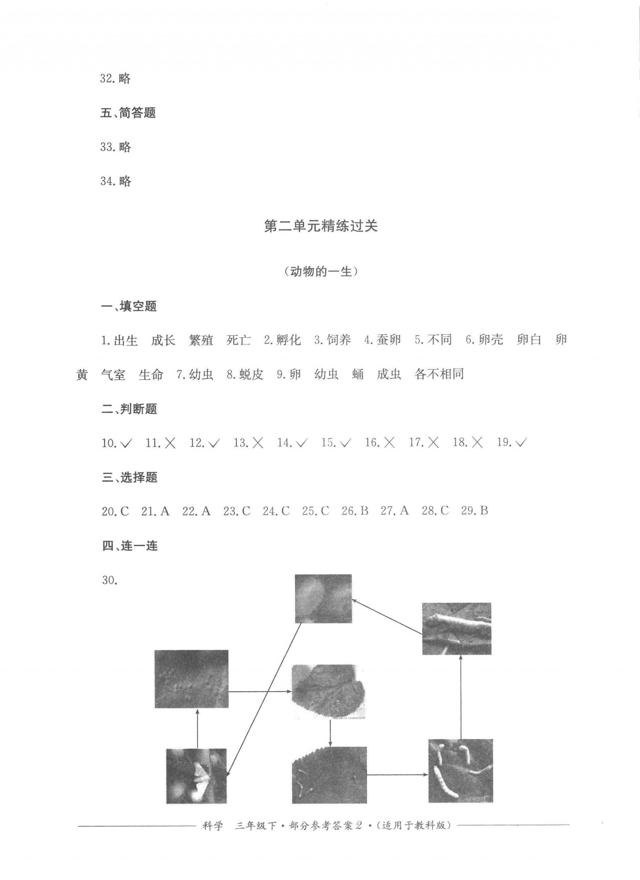 2023年精練過關四川教育出版社三年級科學下冊教科版 第2頁