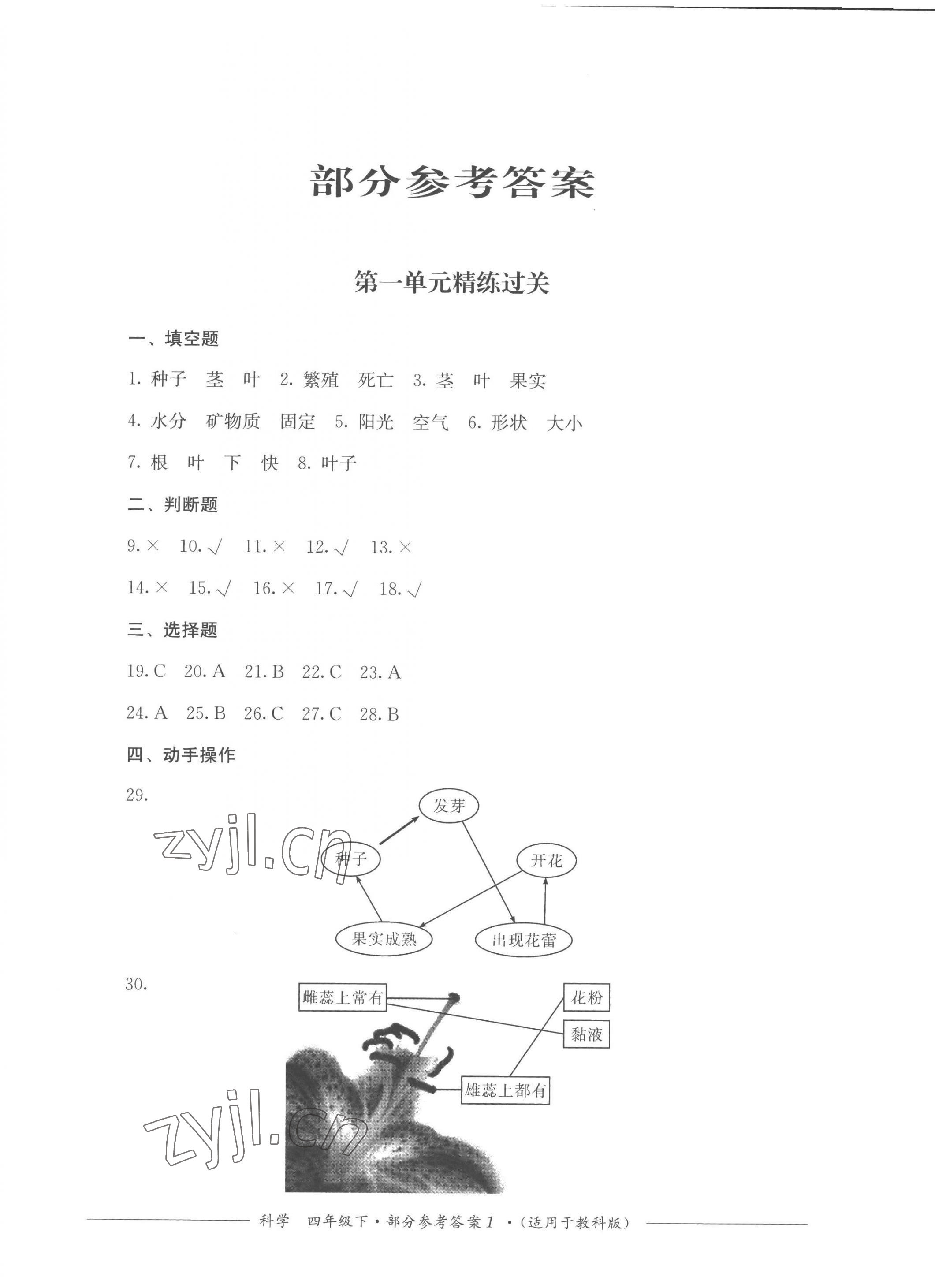 2023年精練過(guò)關(guān)四川教育出版社四年級(jí)科學(xué)下冊(cè)教科版 第1頁(yè)