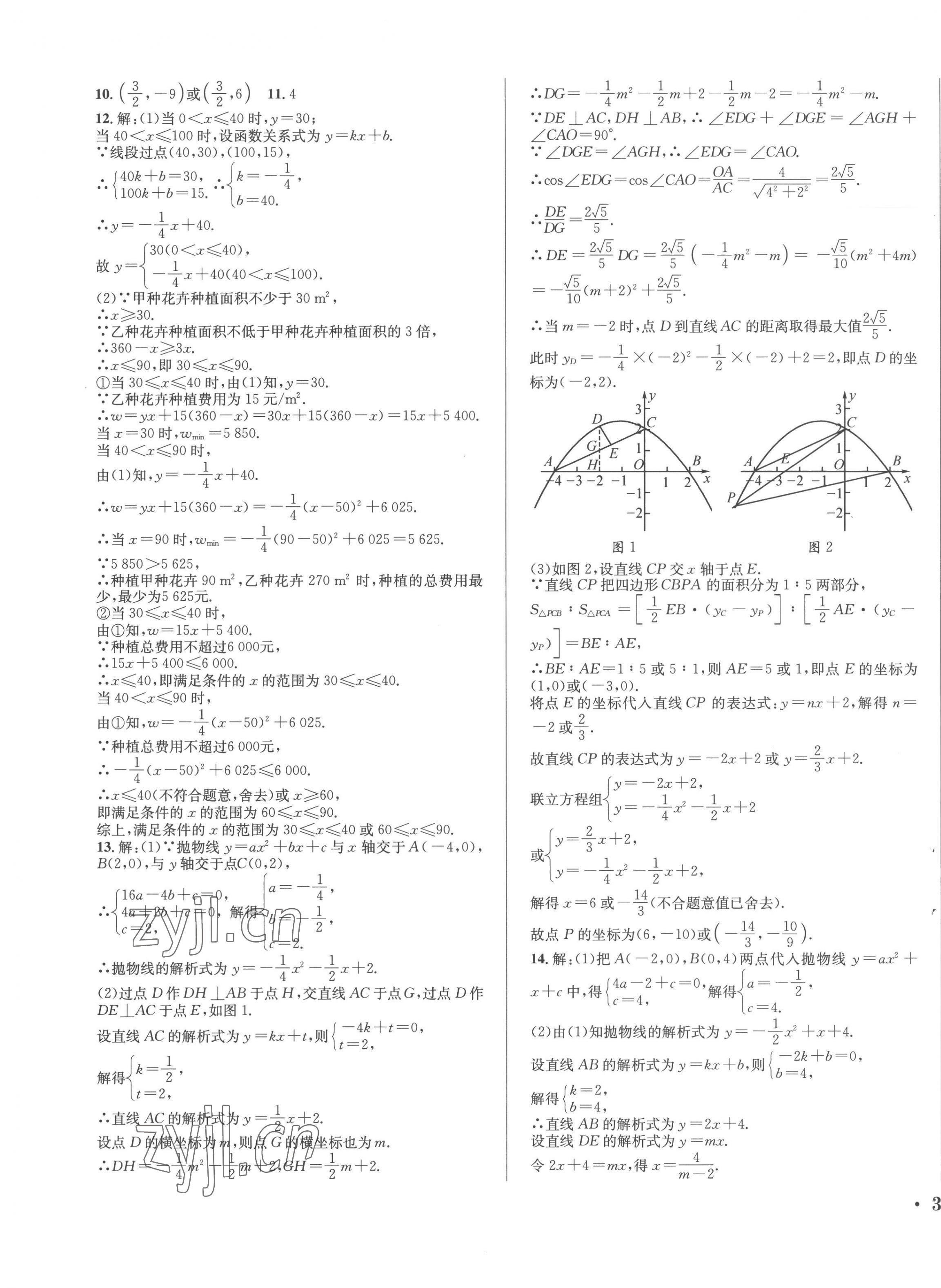 2023年直通中考南方出版社數學 第17頁