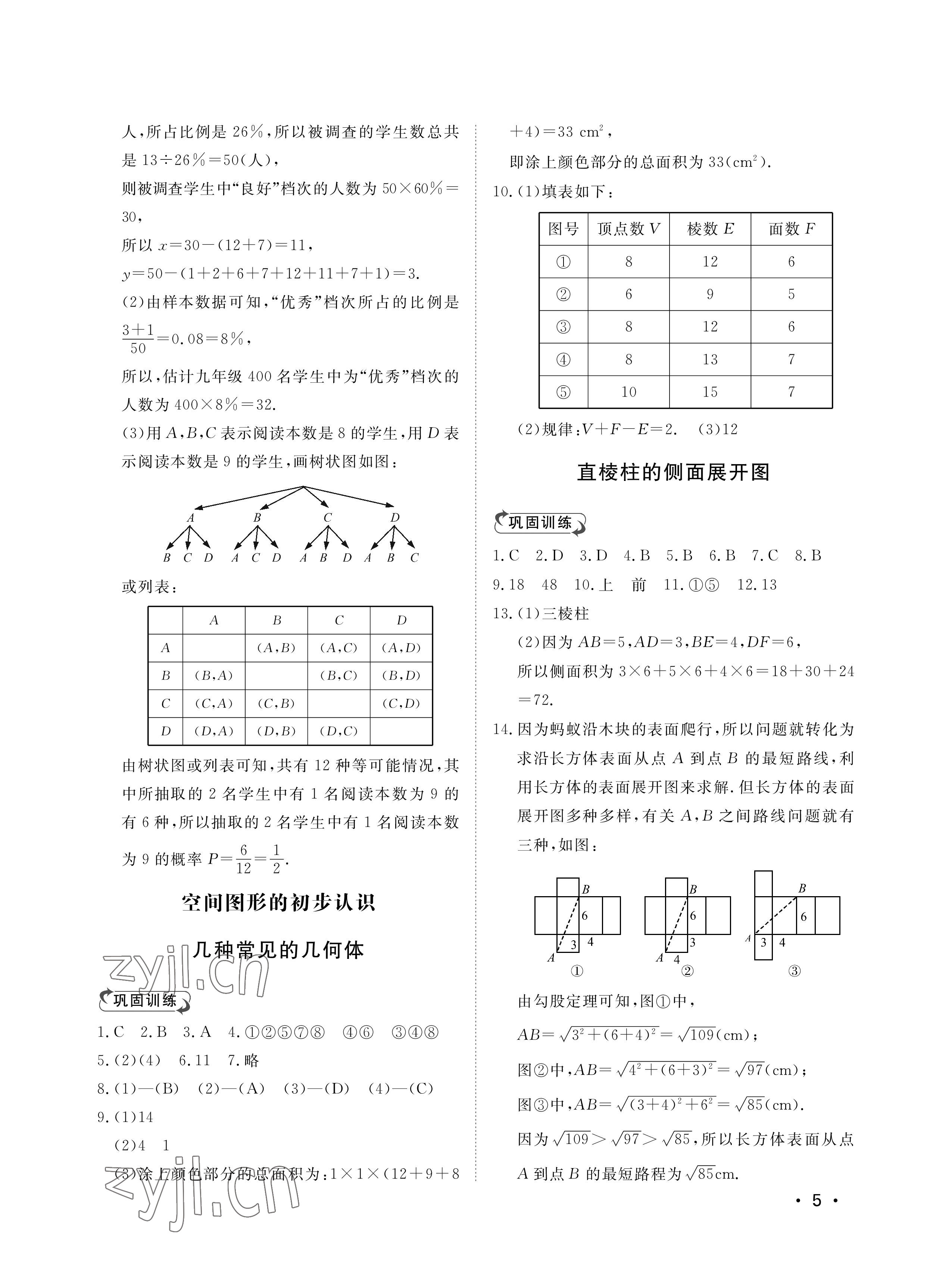 2023年行知天下九年級(jí)數(shù)學(xué)下冊(cè)青島版 參考答案第5頁