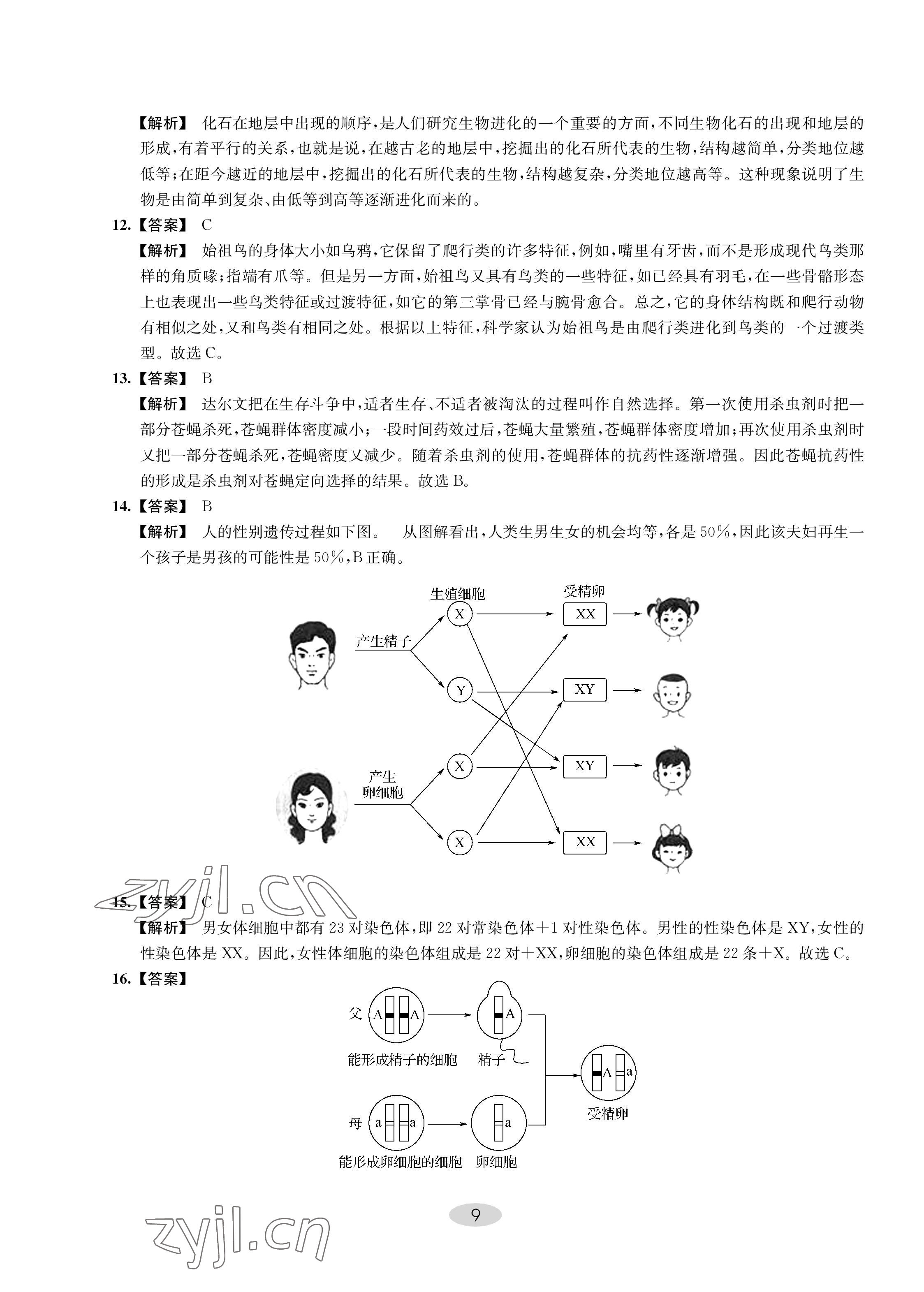 2023年關鍵能力進階八年級生物下冊 第9頁