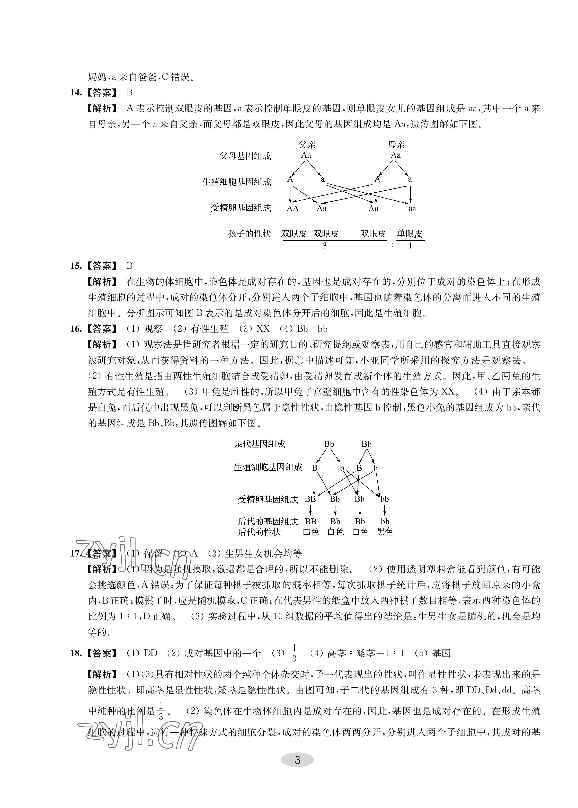 2023年關鍵能力進階八年級生物下冊 第3頁