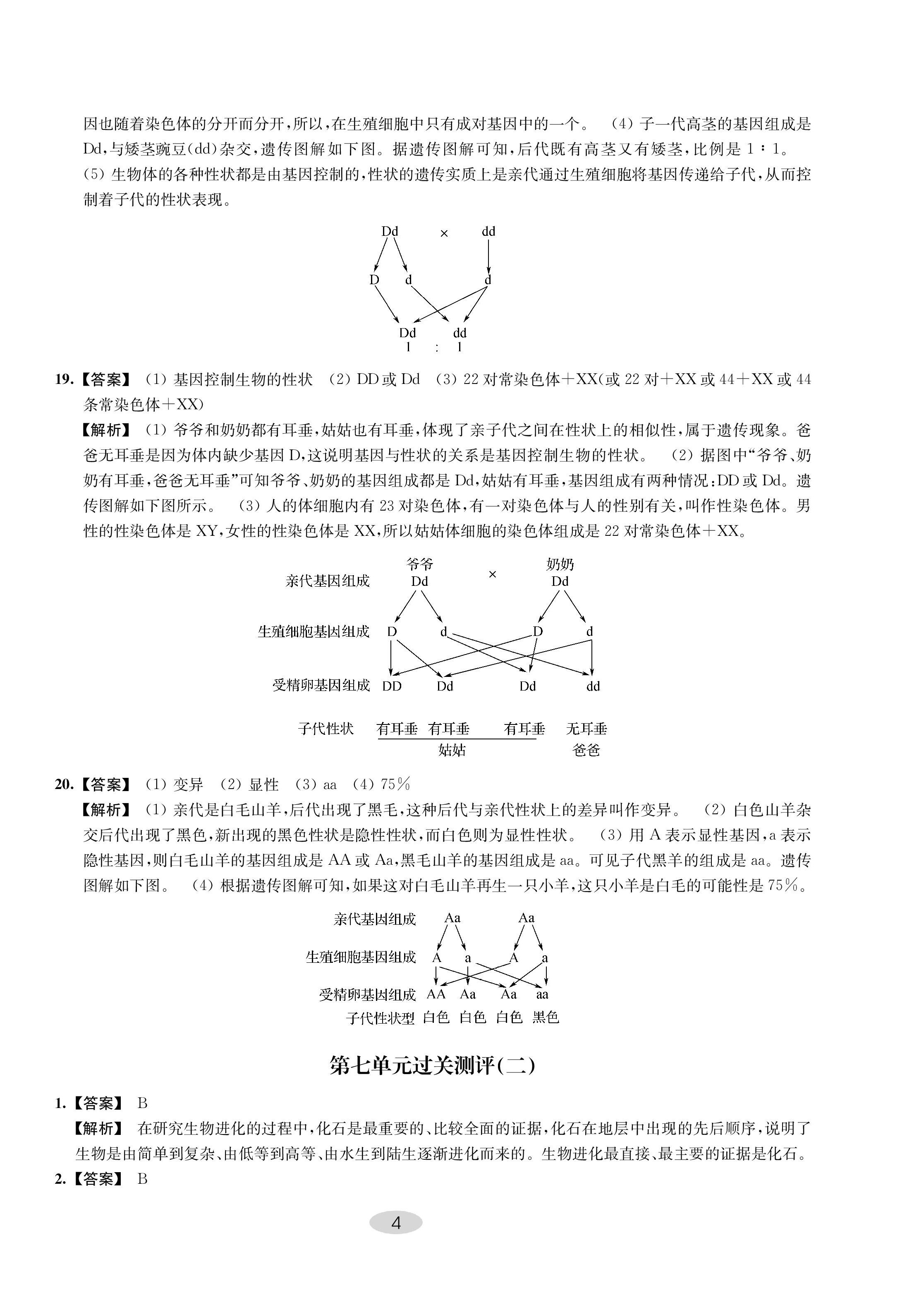 2023年關鍵能力進階八年級生物下冊 第4頁