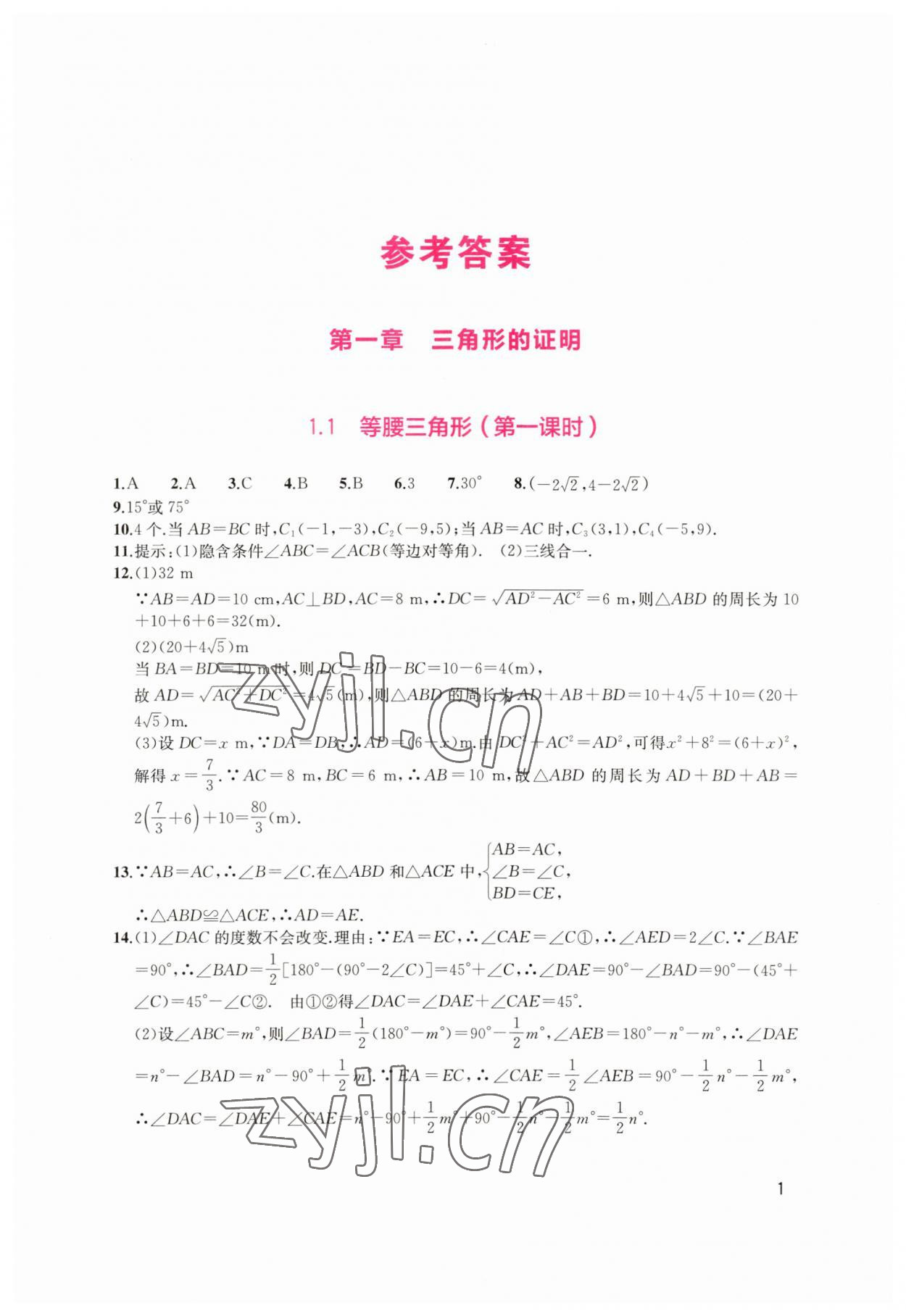 2023年新课程实践与探究丛书八年级数学下册北师大版 第1页