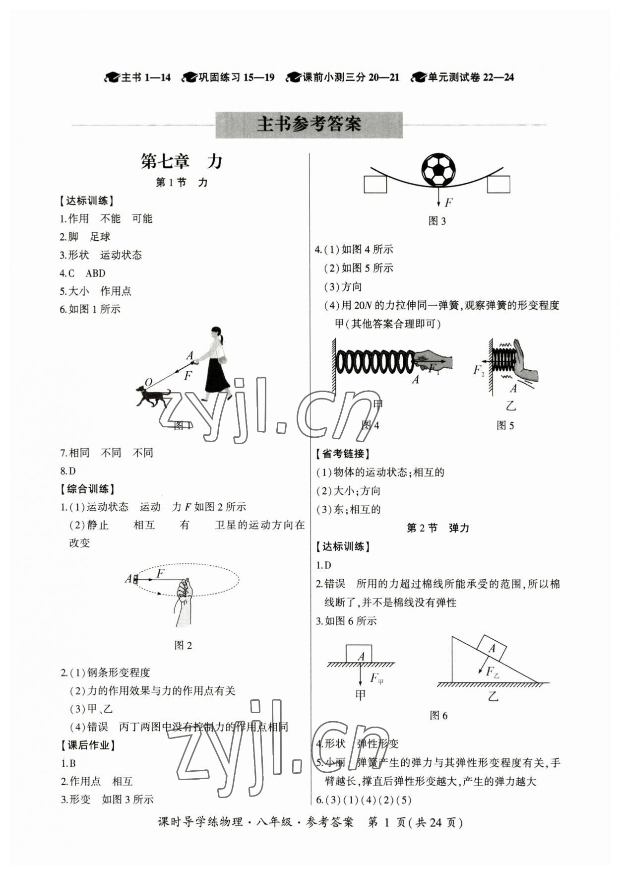 2023年課時導(dǎo)學(xué)練八年級物理下冊人教版廣州專版 第1頁