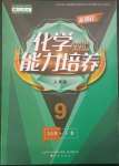 2023年新課程能力培養(yǎng)九年級(jí)化學(xué)下冊(cè)人教版