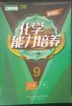 2023年新課程能力培養(yǎng)九年級化學(xué)下冊人教版D版