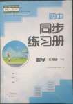 2023年同步練習(xí)冊(cè)大象出版社九年級(jí)數(shù)學(xué)下冊(cè)人教版