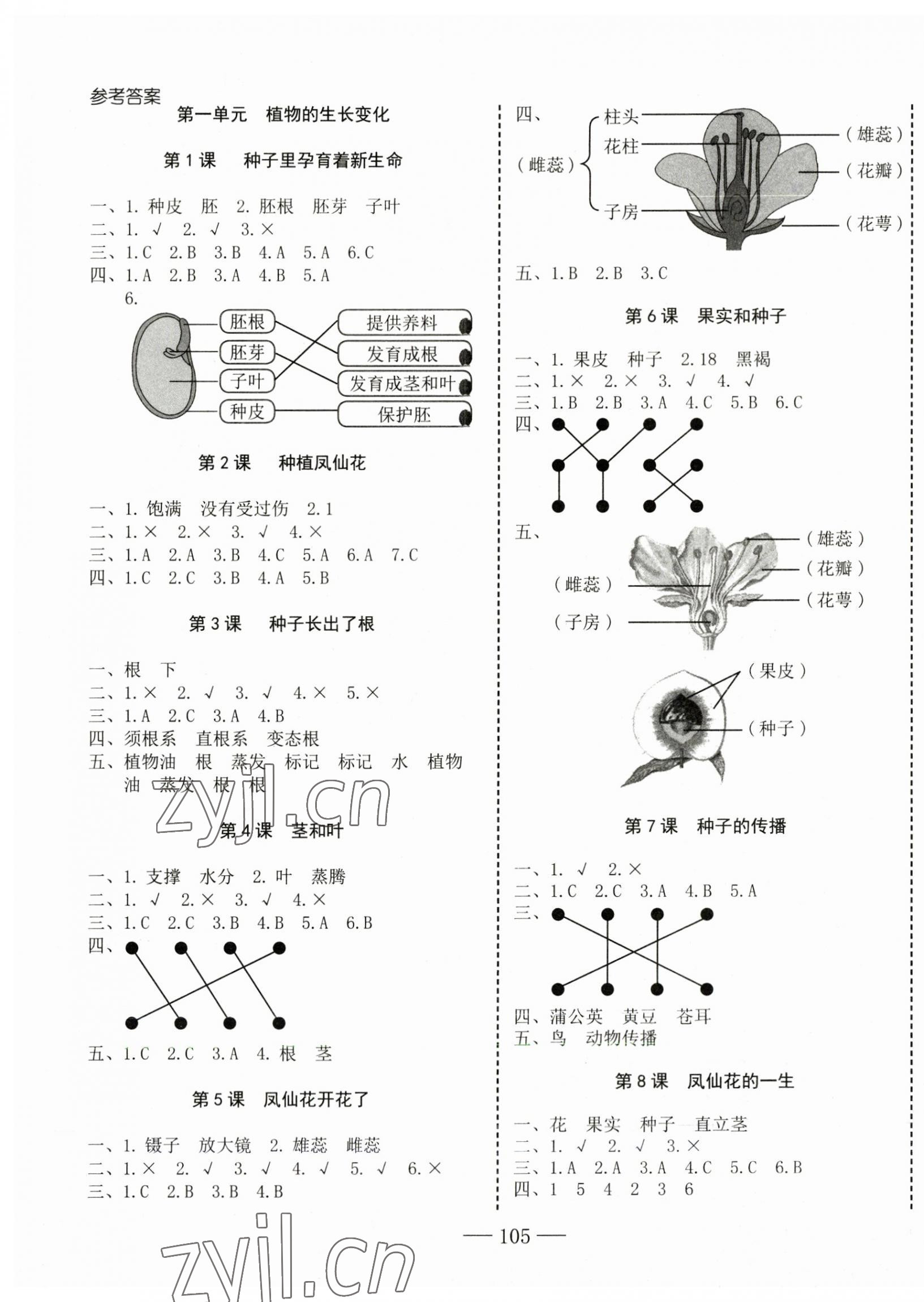 2023年科學速記大通關四年級下冊教科版 參考答案第1頁