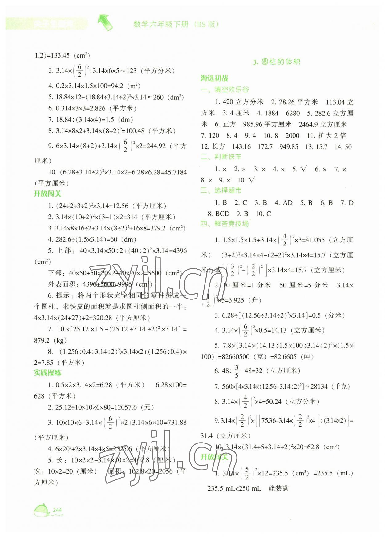 2023年尖子生題庫六年級(jí)數(shù)學(xué)下冊(cè)北師大版 第2頁