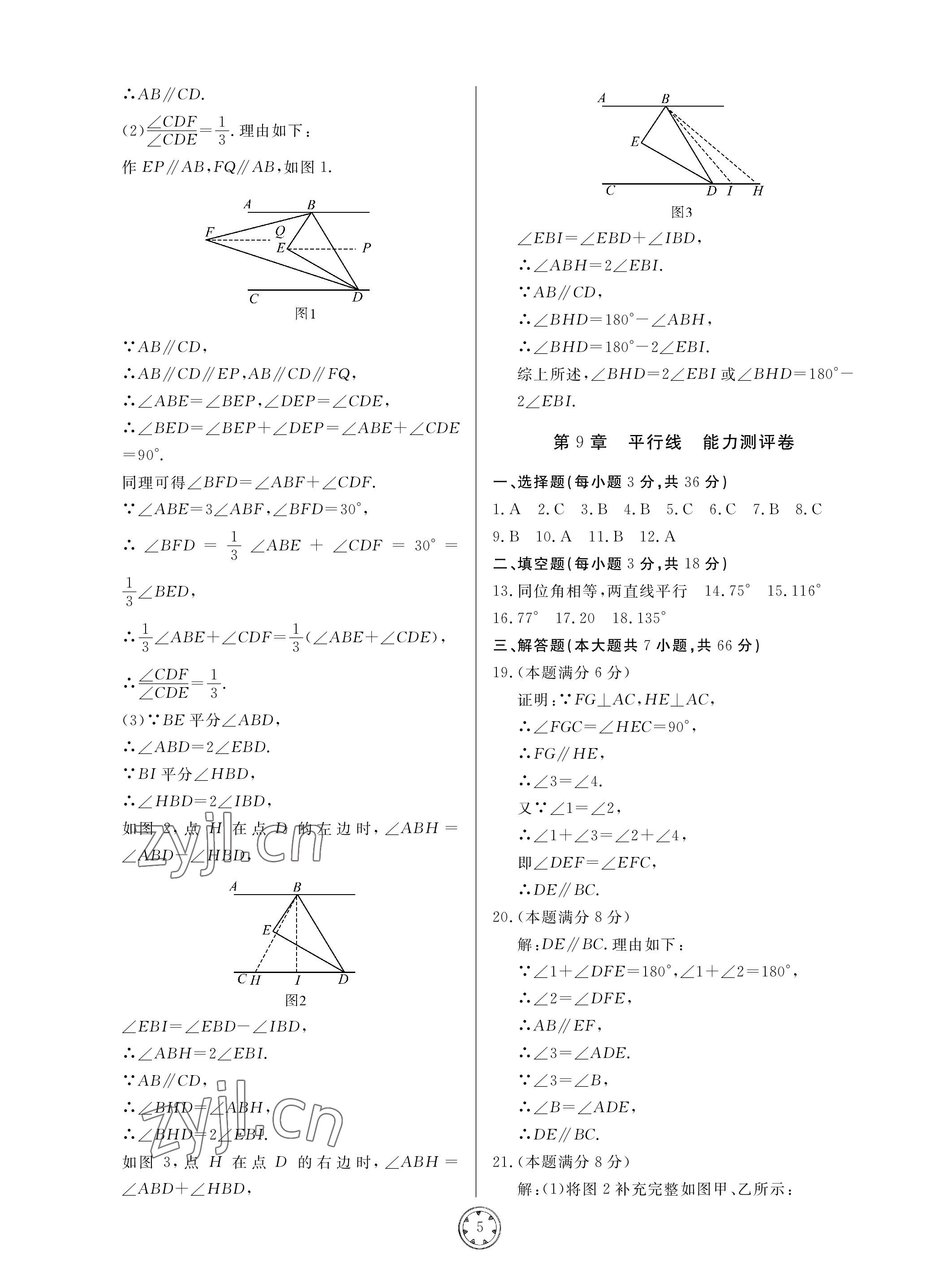 2023年同步練習(xí)冊分層檢測卷七年級數(shù)學(xué)下冊青島版 參考答案第5頁