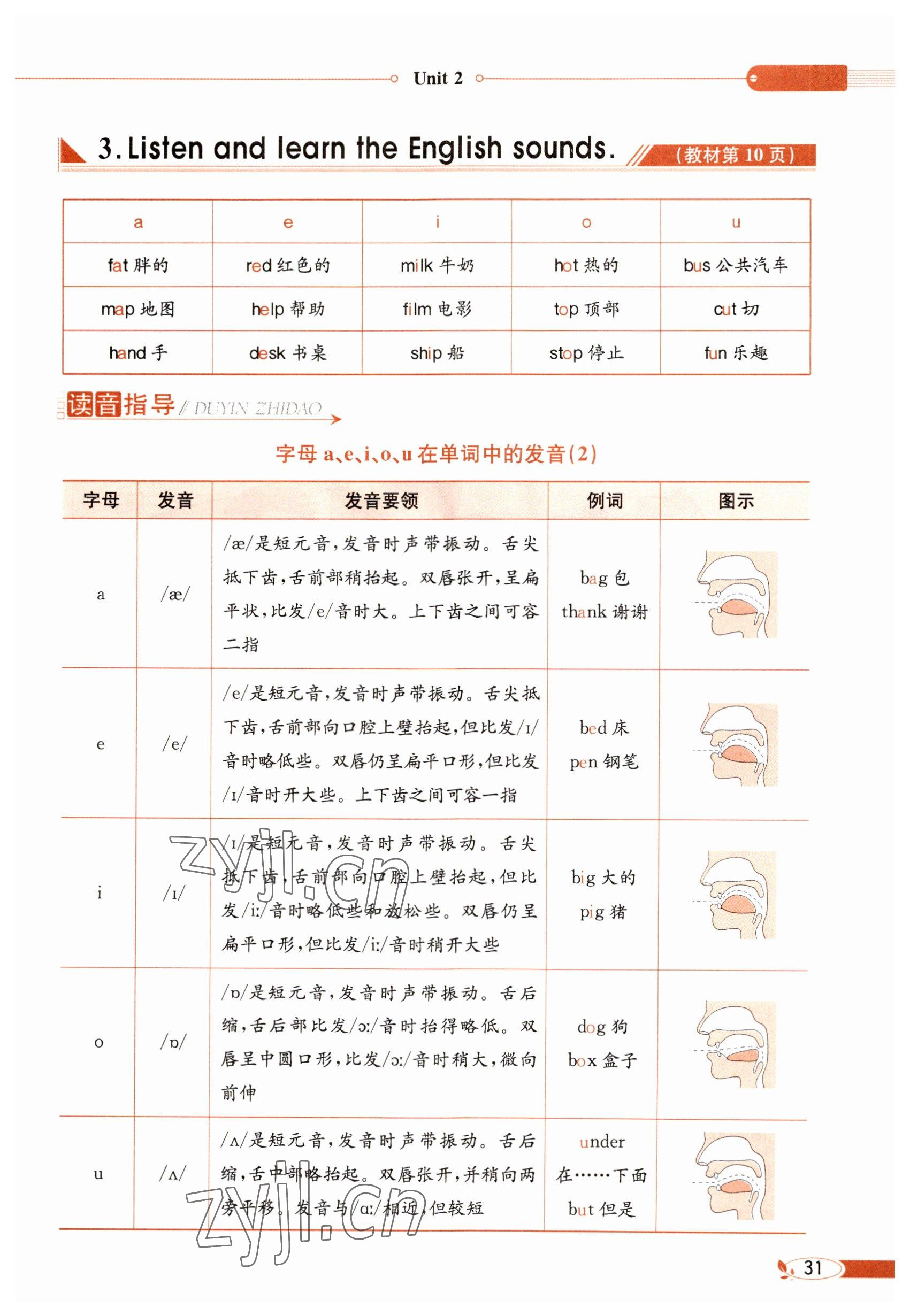 2023年教材課本六年級(jí)英語(yǔ)下冊(cè)閩教版 參考答案第31頁(yè)