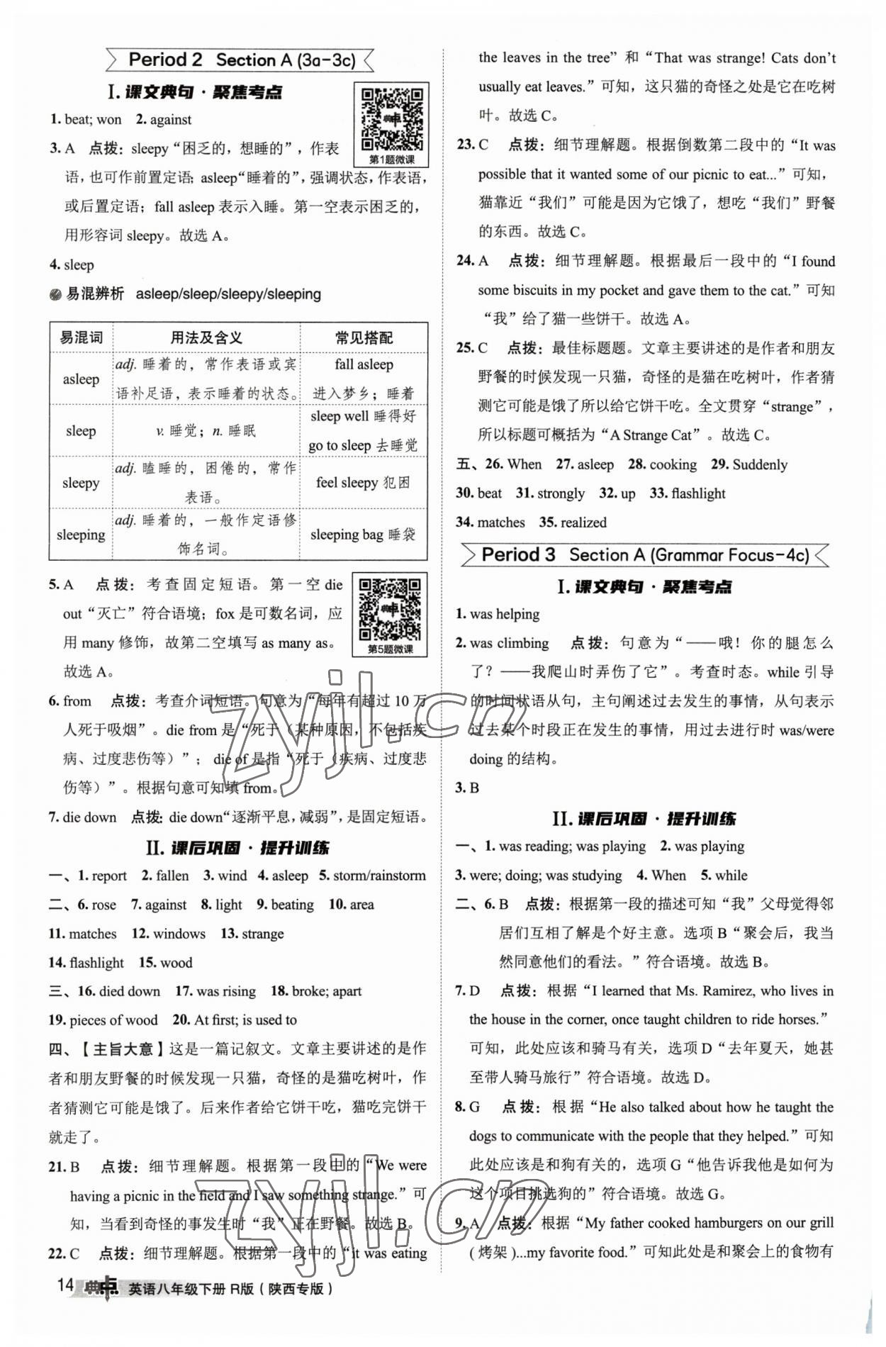 2023年綜合應(yīng)用創(chuàng)新題典中點八年級英語下冊人教版陜西專版 參考答案第13頁