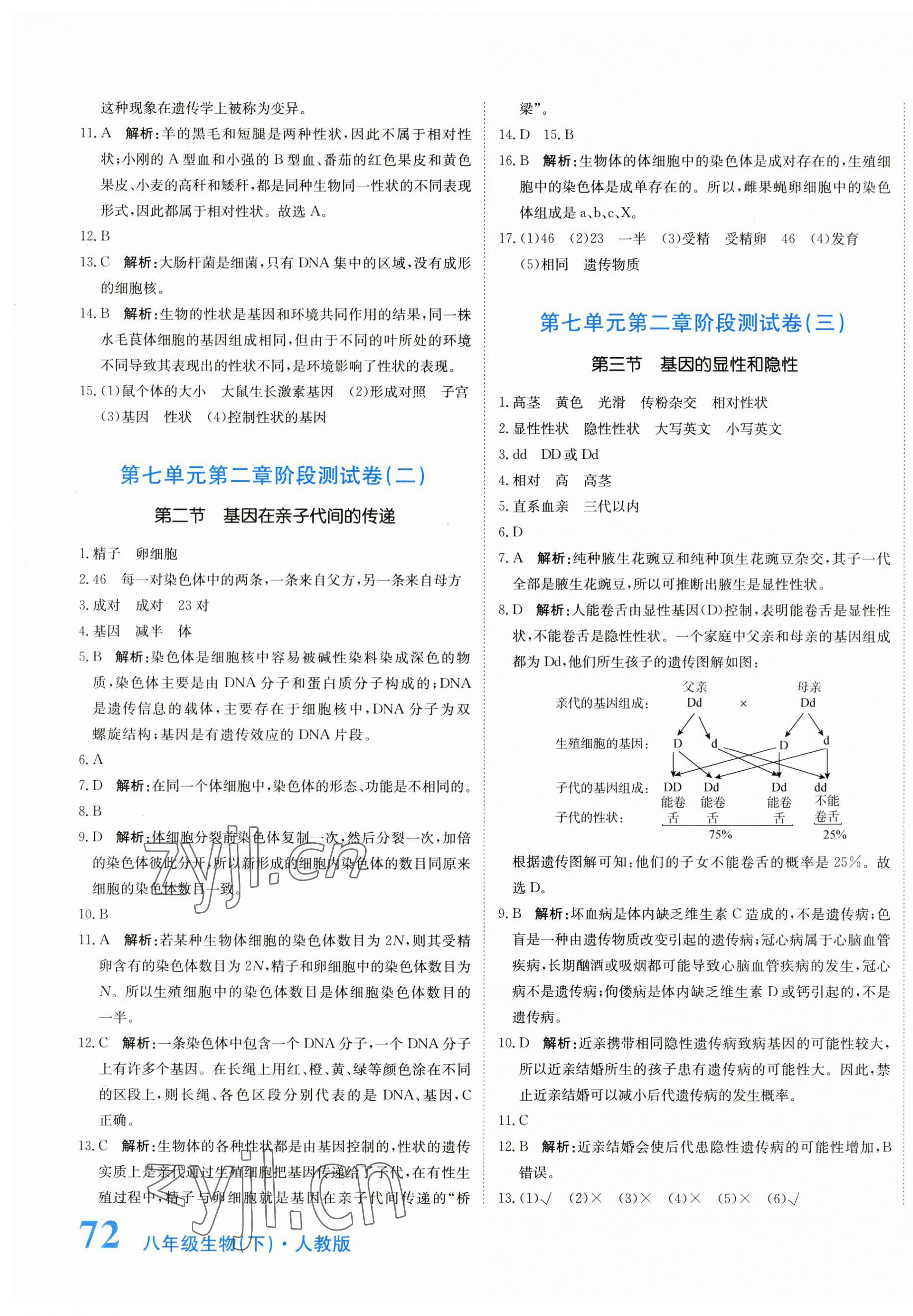 2023年提分教練八年級(jí)生物下冊(cè)人教版 第3頁(yè)