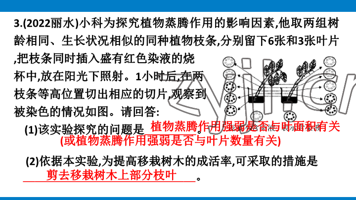 2023年學習進階中考科學復(fù)習設(shè)計中考浙教版 參考答案第92頁
