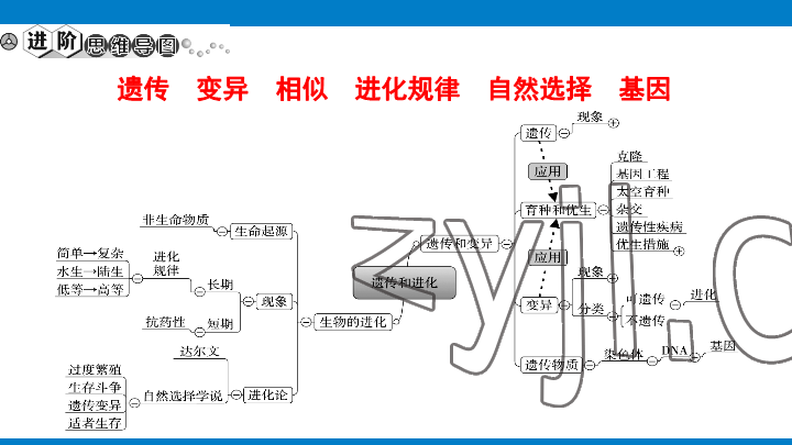 2023年學(xué)習(xí)進(jìn)階中考科學(xué)復(fù)習(xí)設(shè)計(jì)中考浙教版 參考答案第196頁