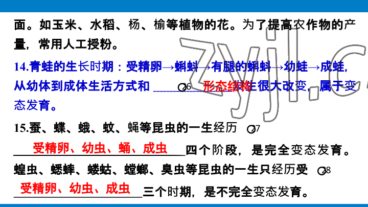 2023年學(xué)習(xí)進階中考科學(xué)復(fù)習(xí)設(shè)計中考浙教版 參考答案第171頁