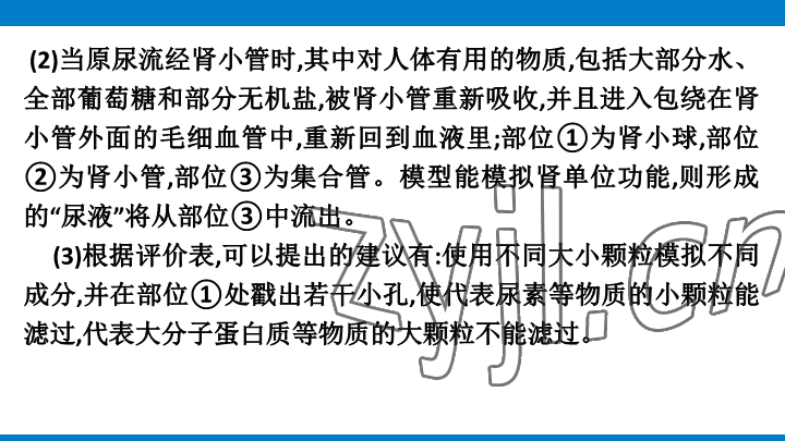 2023年學(xué)習(xí)進(jìn)階中考科學(xué)復(fù)習(xí)設(shè)計中考浙教版 參考答案第125頁