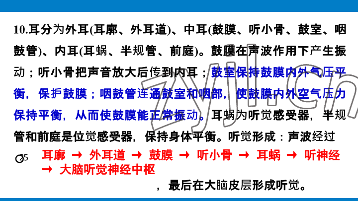 2023年學(xué)習(xí)進(jìn)階中考科學(xué)復(fù)習(xí)設(shè)計(jì)中考浙教版 參考答案第144頁(yè)
