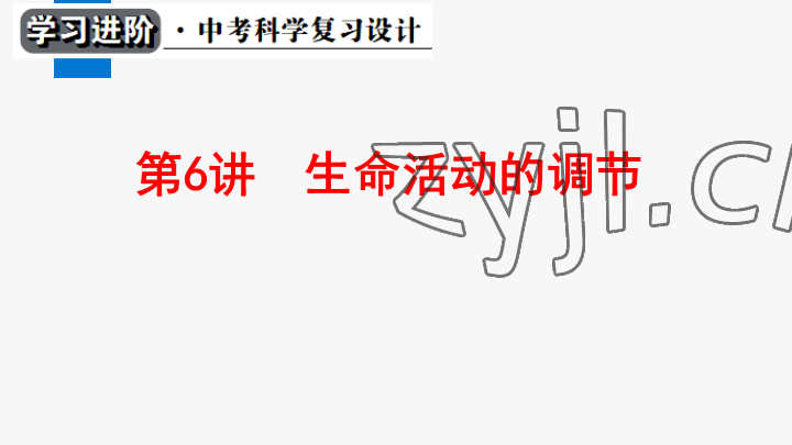 2023年學習進階中考科學復習設(shè)計中考浙教版 參考答案第136頁