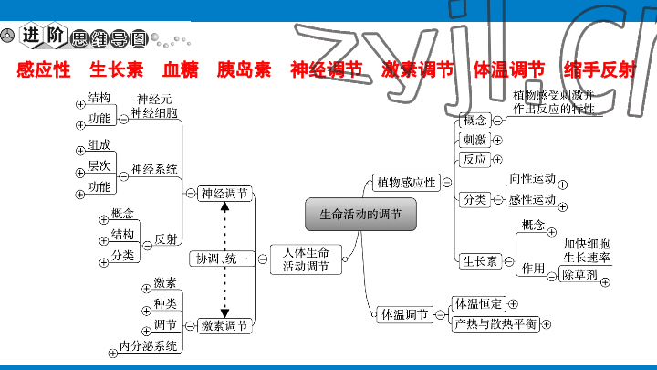 2023年學(xué)習(xí)進階中考科學(xué)復(fù)習(xí)設(shè)計中考浙教版 參考答案第137頁