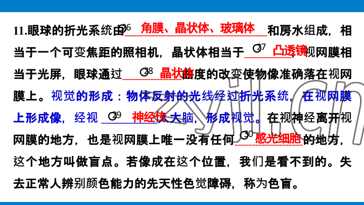 2023年學(xué)習(xí)進(jìn)階中考科學(xué)復(fù)習(xí)設(shè)計(jì)中考浙教版 參考答案第145頁(yè)