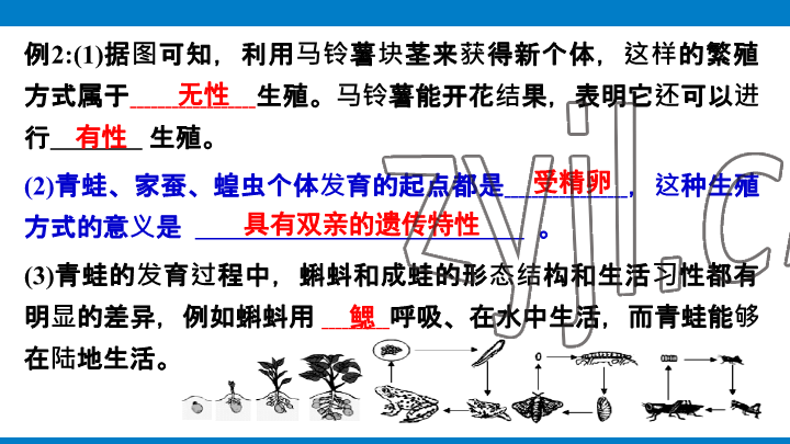 2023年學(xué)習(xí)進(jìn)階中考科學(xué)復(fù)習(xí)設(shè)計(jì)中考浙教版 參考答案第180頁(yè)