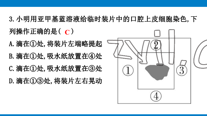 2023年學(xué)習(xí)進(jìn)階中考科學(xué)復(fù)習(xí)設(shè)計中考浙教版 參考答案第35頁