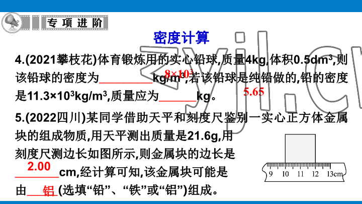 2023年學(xué)習(xí)進(jìn)階中考科學(xué)復(fù)習(xí)設(shè)計(jì)中考浙教版 參考答案第262頁(yè)