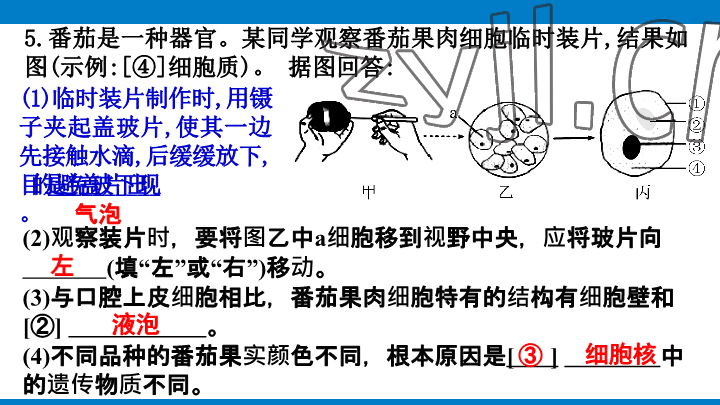 2023年學(xué)習(xí)進(jìn)階中考科學(xué)復(fù)習(xí)設(shè)計(jì)中考浙教版 參考答案第37頁(yè)