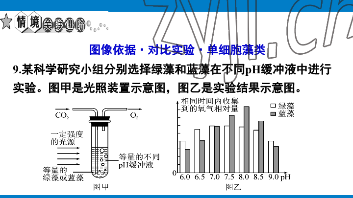 2023年學(xué)習(xí)進(jìn)階中考科學(xué)復(fù)習(xí)設(shè)計(jì)中考浙教版 參考答案第22頁(yè)
