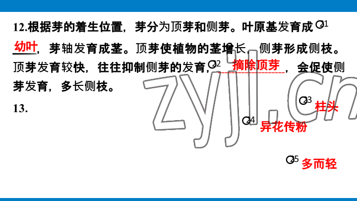 2023年學習進階中考科學復習設計中考浙教版 參考答案第170頁