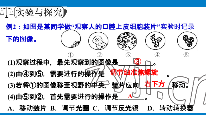 2023年學(xué)習(xí)進(jìn)階中考科學(xué)復(fù)習(xí)設(shè)計(jì)中考浙教版 參考答案第41頁(yè)