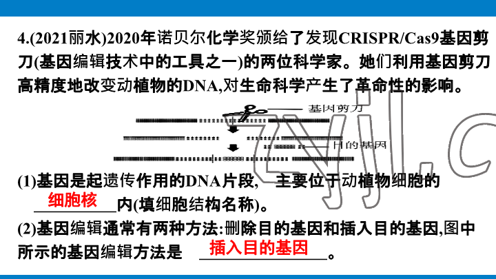 2023年學(xué)習(xí)進階中考科學(xué)復(fù)習(xí)設(shè)計中考浙教版 參考答案第203頁
