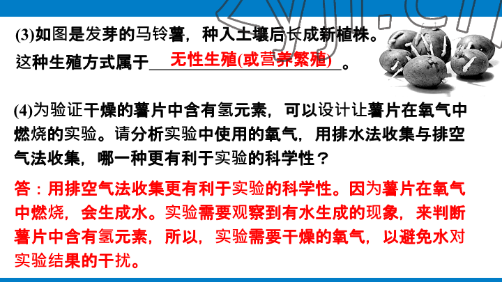 2023年學(xué)習(xí)進(jìn)階中考科學(xué)復(fù)習(xí)設(shè)計(jì)中考浙教版 參考答案第193頁(yè)