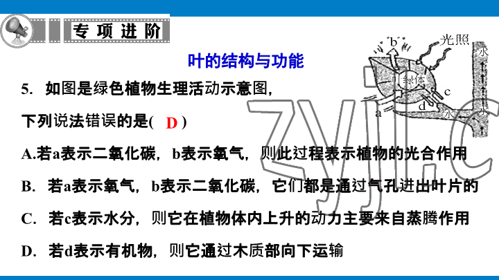 2023年學習進階中考科學復習設計中考浙教版 參考答案第100頁