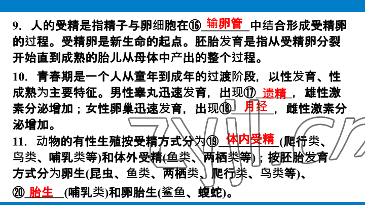 2023年学习进阶中考科学复习设计中考浙教版&nbsp;参考答案第169页
