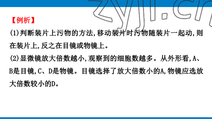 2023年學(xué)習(xí)進(jìn)階中考科學(xué)復(fù)習(xí)設(shè)計(jì)中考浙教版 參考答案第15頁
