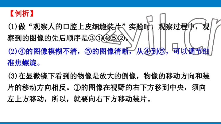 2023年學習進階中考科學復習設計中考浙教版 參考答案第43頁