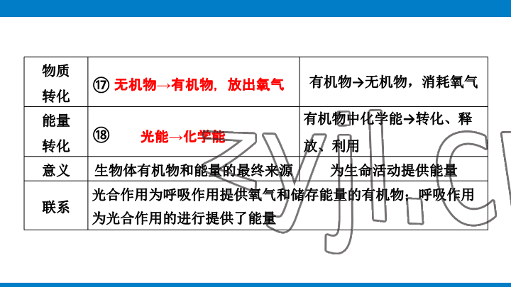 2023年學(xué)習(xí)進階中考科學(xué)復(fù)習(xí)設(shè)計中考浙教版 參考答案第88頁