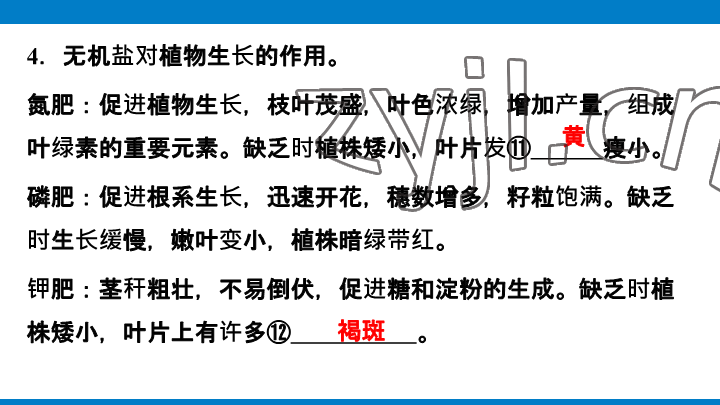 2023年學習進階中考科學復習設計中考浙教版 參考答案第86頁