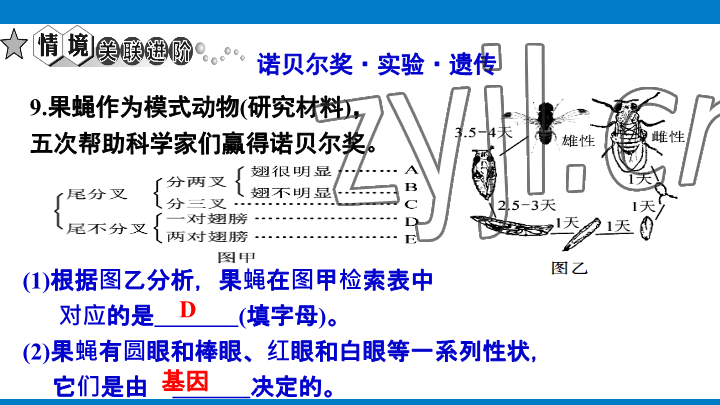 2023年學(xué)習(xí)進(jìn)階中考科學(xué)復(fù)習(xí)設(shè)計(jì)中考浙教版 參考答案第216頁(yè)