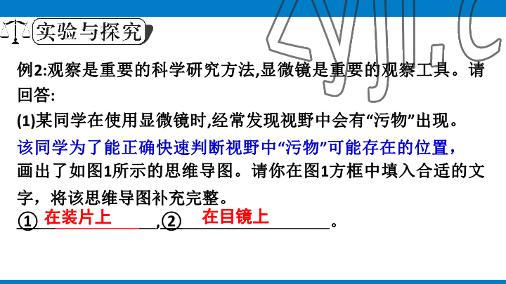 2023年學(xué)習(xí)進(jìn)階中考科學(xué)復(fù)習(xí)設(shè)計(jì)中考浙教版 參考答案第13頁
