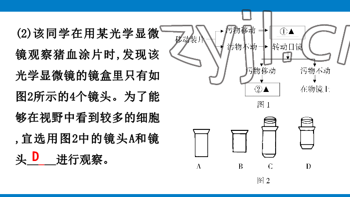 2023年學(xué)習(xí)進(jìn)階中考科學(xué)復(fù)習(xí)設(shè)計(jì)中考浙教版 參考答案第14頁