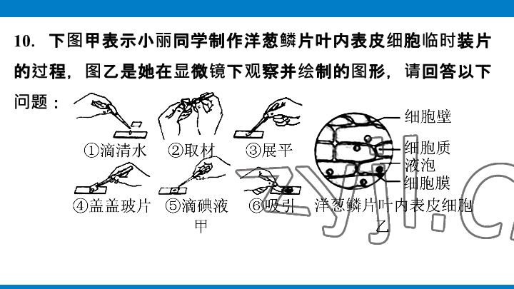 2023年學(xué)習(xí)進階中考科學(xué)復(fù)習(xí)設(shè)計中考浙教版 參考答案第50頁
