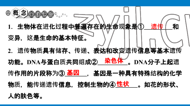 2023年學(xué)習(xí)進(jìn)階中考科學(xué)復(fù)習(xí)設(shè)計(jì)中考浙教版 參考答案第197頁